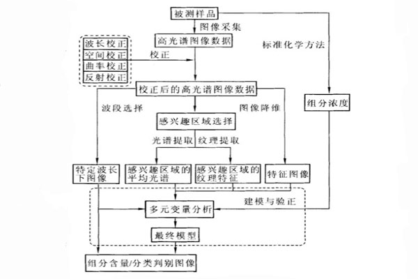 高光譜圖像數(shù)據(jù)的典型分析流程