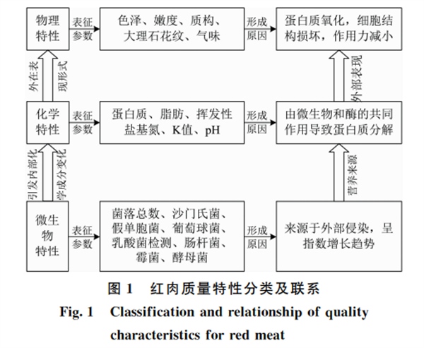 紅肉質(zhì)量高光譜無損檢測(cè)研究