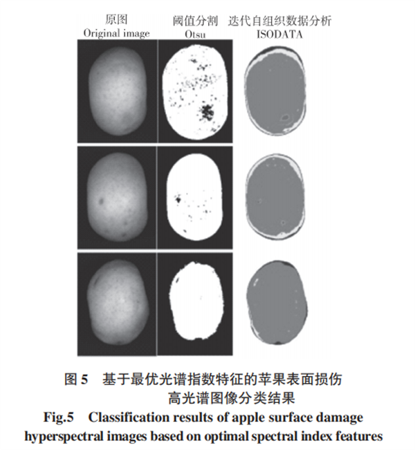 基于高光譜成像的蘋果損傷檢測方法5