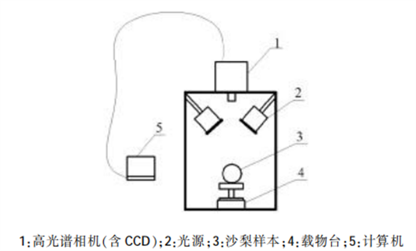 高光譜圖像技術(shù)在沙梨無(wú)損檢測(cè)中的應(yīng)用