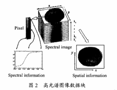 高光譜成像技術(shù)檢測(cè)柑橘果銹2