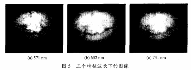 高光譜成像技術(shù)檢測(cè)柑橘果銹5