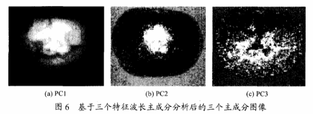 高光譜成像技術(shù)檢測(cè)柑橘果銹6