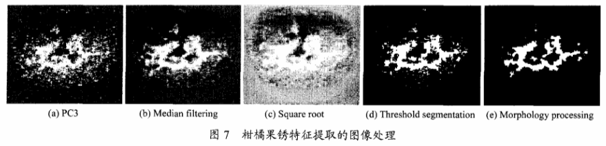 高光譜成像技術(shù)檢測(cè)柑橘果銹7