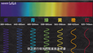 高光譜成像技術(shù)方案怎么選擇？