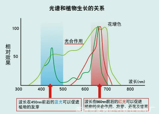 植被的光譜特性是什么？植被的光譜特性介紹